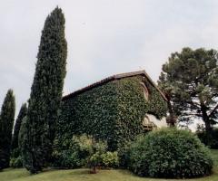 La Chiesa nel parco