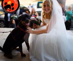 JMD Professionisti al vostro servizio