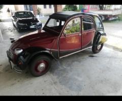 Maggiolone e 2CV Charleston - Le auto per il matrimonio a Piacenza