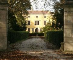 Viale per l'ingresso alla villa