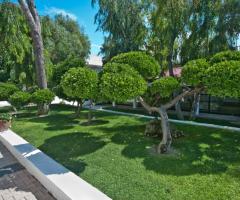 Il giardino della villa