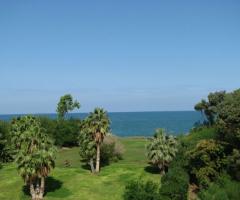 Vegetazione e splendida vista mare