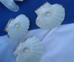 Perle alla nocciola - Sogni Confettati