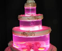 Baby Crystal la Torta Acquario Magic Reef