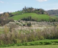 Veduta del luogo del ricevimento di nozze