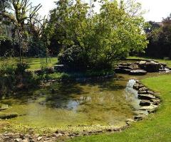 Il laghetto - Il Leone d'Oro