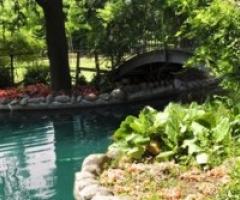 Laghetto del ristorante delle nozze