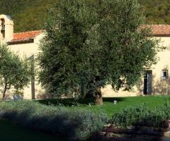 Chiesa e parco per il ricevimento di matrimonio