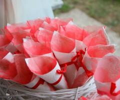 Coni portariso - Save The Party