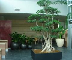 Glass Cube - Location matrimonio originale a Milano