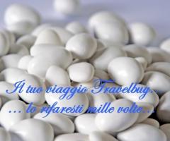 Il tuo viaggio Travelbuy... lo rifaresti mille volte