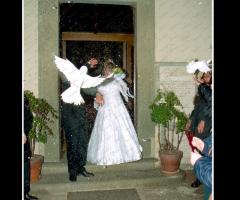 L'uscita dal comune - PhotoArt.it di Stefano Palai