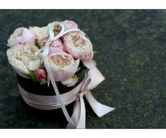 AmaRena - Wedding and event planner - "Cuscinetto" porta fedi