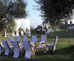 Particolare di allestimento di matrimonio in zona ulivi