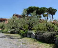 Casale per il matrimonio immerso nei vigneti