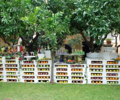 Allestimento in legno e frutta per il tavolo dei cocktail