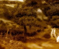 Album per il matrimonio