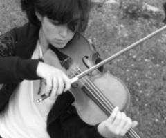 Violino musica per matrimoni