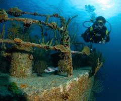 Travelsens - Viaggio di nozze