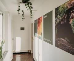 Terrazza Bonsai - Terrazza