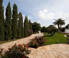 Giardino della villa per il matrimonio