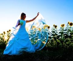 Foto della sposa tra i girasoli