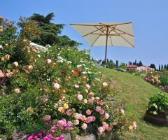 decorazioni floreali della Tenuta Coffele