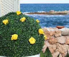 Cerimonia in spiaggia, dettaglio