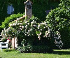 Tenuta Odorici a San Nicola - Location per matrimoni a Roma