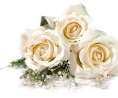 Orchestra Asso di Cuori