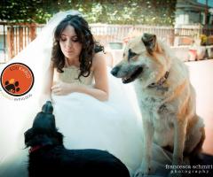 JMD Professionisti al vostro servizio