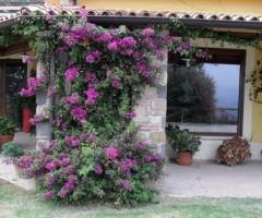 Location di matrimonio a Caserta