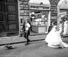 Fotografia degli sposi con i loro amici animali