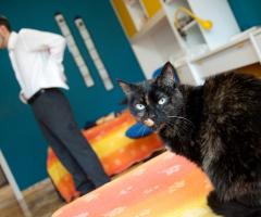 Fotografia dello sposo durante i preparativi con un amico al fianco
