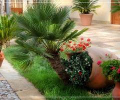 Baglio Rakali - Anfore e fiori del giardino della villa