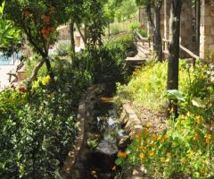 Un corso d'acqua che attraversa l'agriturismo Bergi