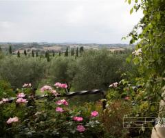 Vista dalla location Antica Fattoria Paterno
