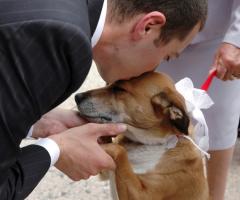 un gradito ospite,  Luca Tumeo