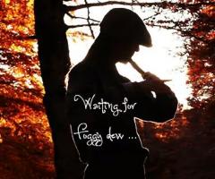 Irish PopCorn - Foggy dew