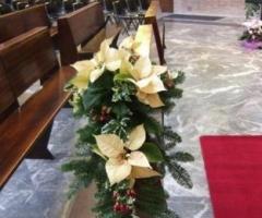 Stelle di natale per le decorazioni floreali in chiesa