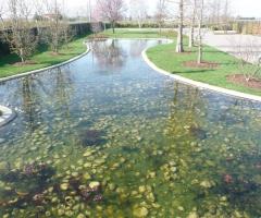 Laghetto del giardino del ristorante