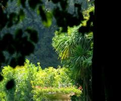Giardino della location dove allestire il matrimonio