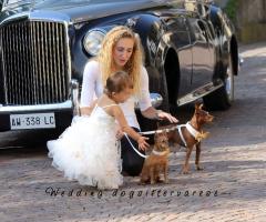 Bimba e auto d'epoca - Wedding dogsittervarese