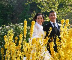 Immagina - Tra i fiori gialli