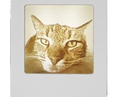 Antonio Filippone - Simba, una amico inseparabile