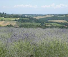 il paesaggio circostante