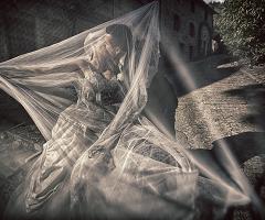 FotoOri Studio - Wedding