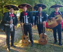 Show latino live - La musica etnica e latino americana per il matrimonio