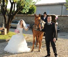 Gli sposi posano con la carrozza per il matrimonio