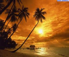 Daniele Tudino Agenzia Viaggi -Caraibi